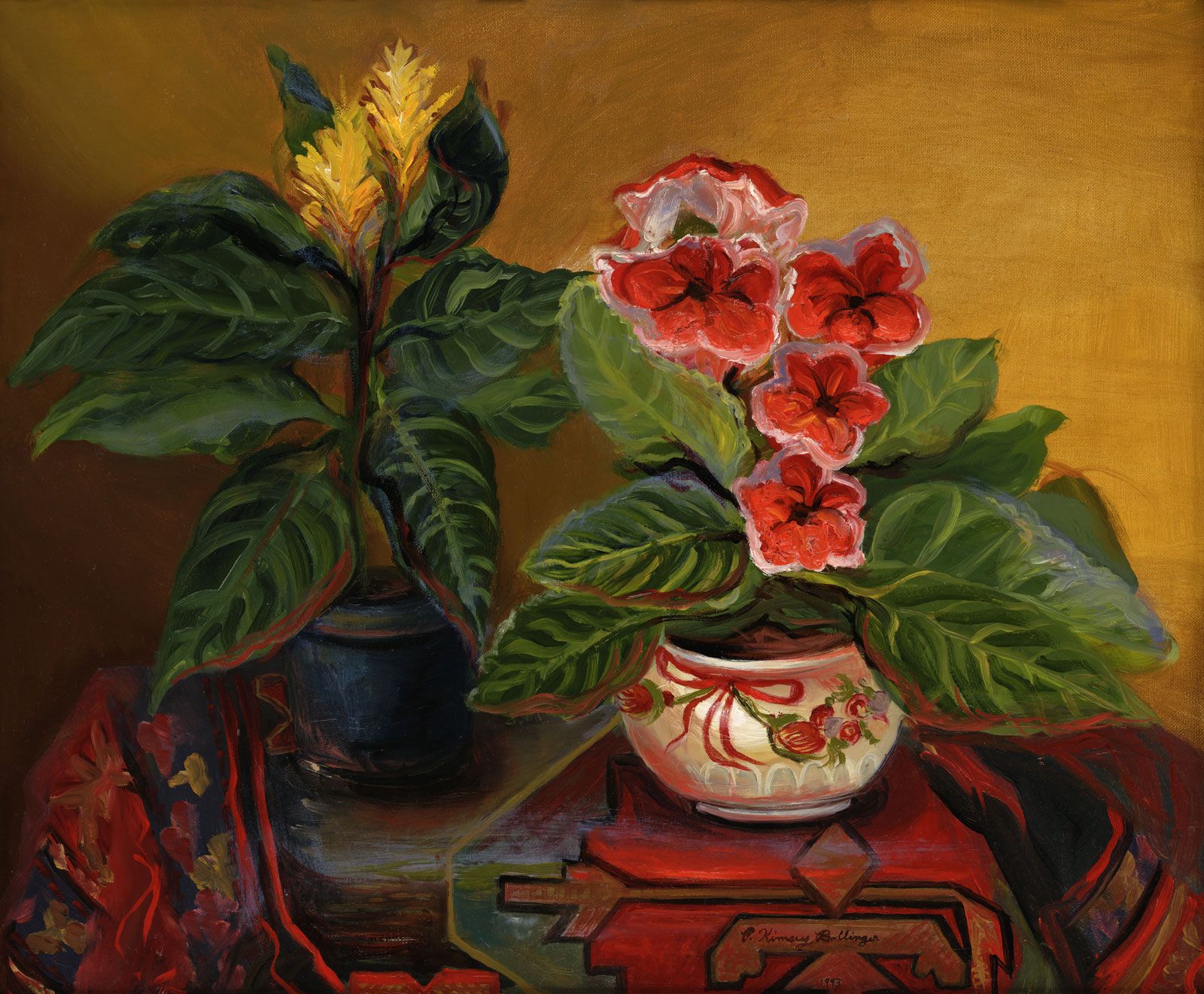 Zebra Plant and Gloxinia